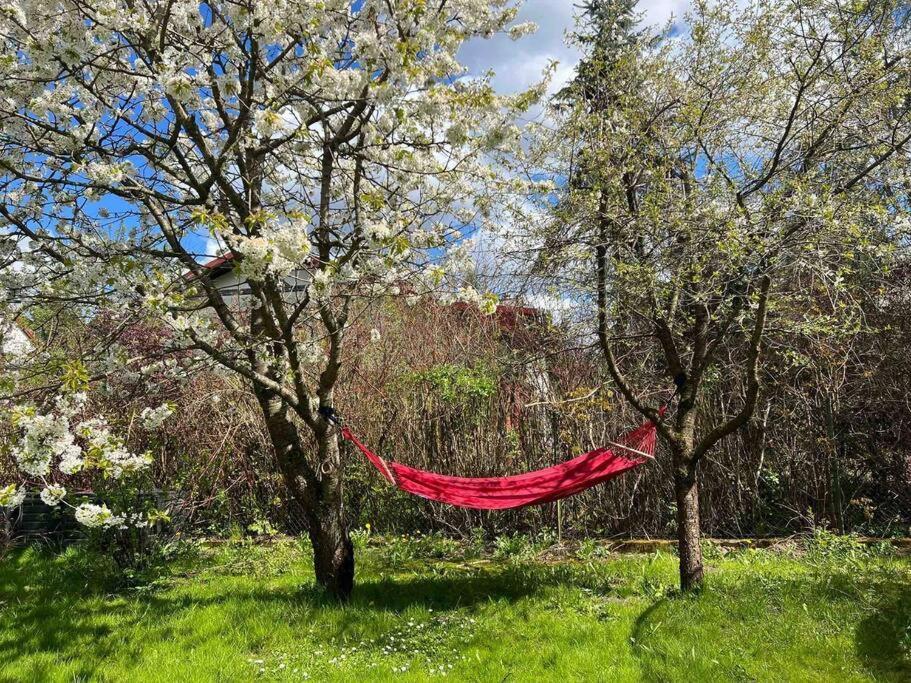 Apartament W ,Chlewiku” Gołdap Buitenkant foto